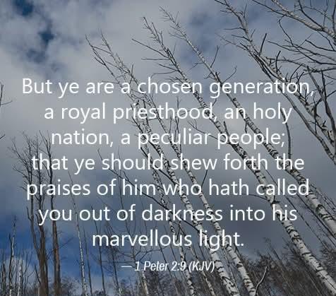 55235f21-d40d-40a7-a1cc-2df13989022e