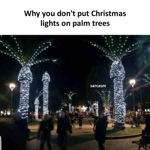 9AD116C9-CDC3-482D-B6AC-622FD62C35BD