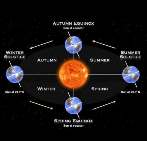 Screenshot_2024-12-05-10-48-13-58_e80c32ecb909be57968e006d821df3f4