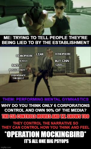 OPERATION MOCKING BIRD