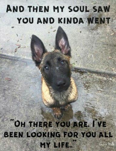 87a2a751bae2f30a3eeb4205e062ba92