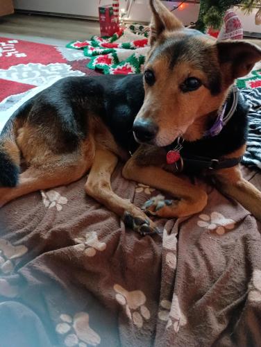 IMG_20241219_120117091