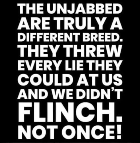 15c191dddd885cd3e2a10ee50720d75d