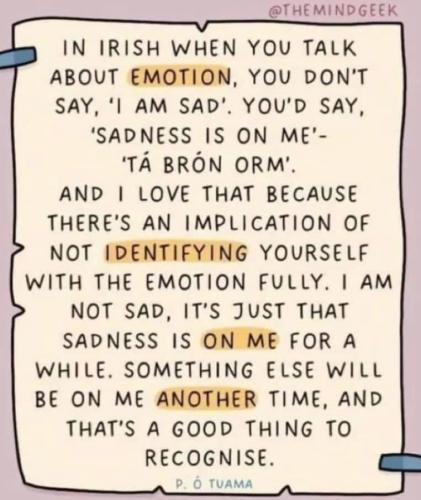 D50741DF-CE0D-489C-96D7-461FD2E472BE