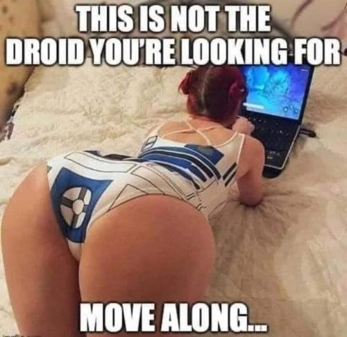 image_E858F98D-3BFD-478D-B329-EEA5B851C0B1