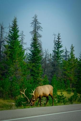 20241202_201011