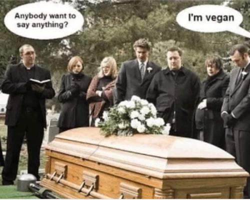 Screenshot_2024-12-11-12-32-54-15_a23b203fd3aafc6dcb84e438dda678b6