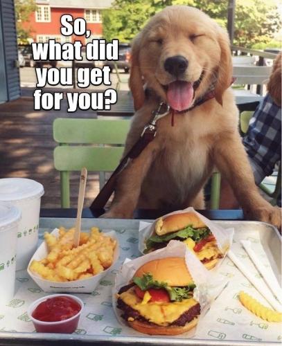 74b8e32d89acbec0fe5dca004d08f528