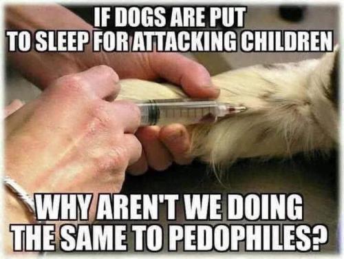 dogs pedo me
