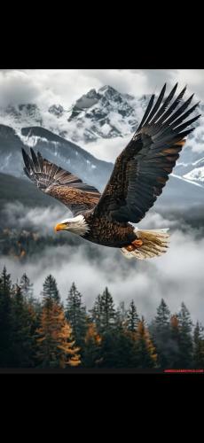 Screenshot_20241229_121712_Gallery