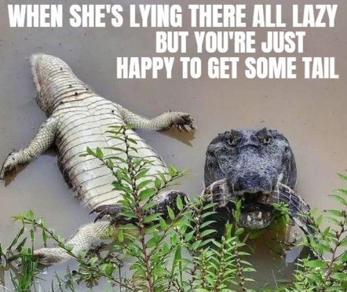 image_4E3DA20F-7EC5-4EA0-8DA6-C92BAAE9B48A