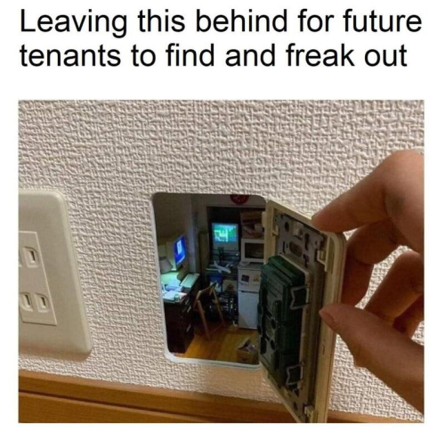 image_CF206D45-9FD3-4E84-921F-F3FEB826F140