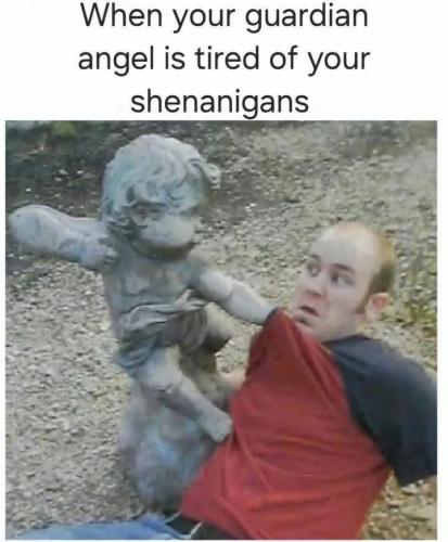 image_11AF1191-AD7E-46F5-8FA8-9D2FB4C33C32