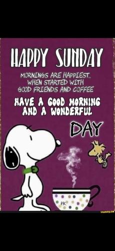 Screenshot_20241222_080810_Gallery