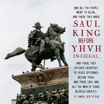 1-sam-11-15-JPS-unsplash-400x400