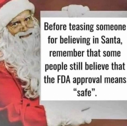 image_2024-12-19_062909993