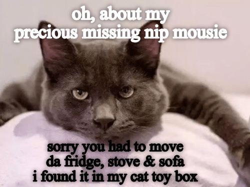 fb033f5486102b469e0d36125fd31677