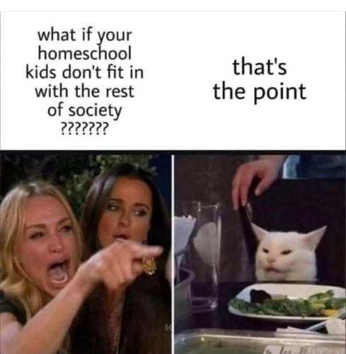 Screenshot_2024-12-17-12-26-32-06_a23b203fd3aafc6dcb84e438dda678b6