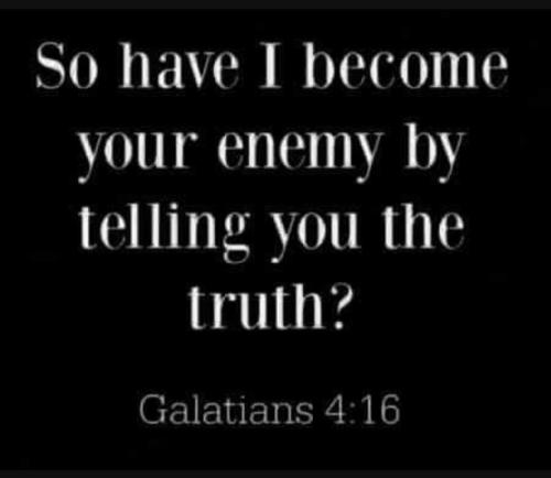 IMG_20241228_073329_608