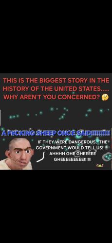 Screenshot_20241227_112324_Gallery