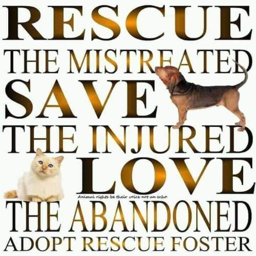 ccce775aedc0bc9264e2d8268c8a681e