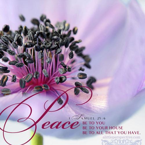 1-sam-25-6-pixabay-9x-SP