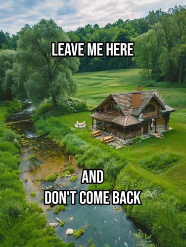 FB_IMG_1735443116258