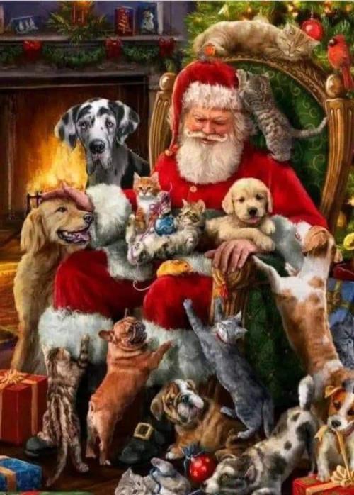 FB_IMG_1733501337228