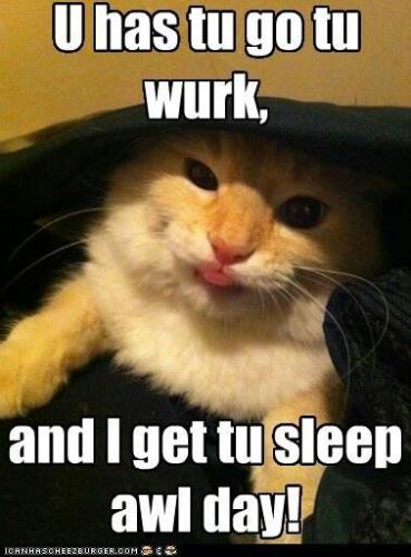 bab893375fe3eac2a3b908c2c6d41095