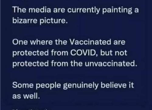 Screenshot_2024-12-23-10-05-50-13_a23b203fd3aafc6dcb84e438dda678b6