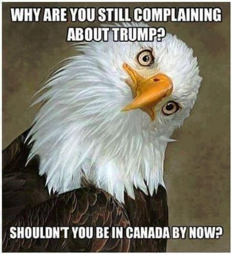 5a040f72-792d-44da-b4b1-2fd244b2bc3a