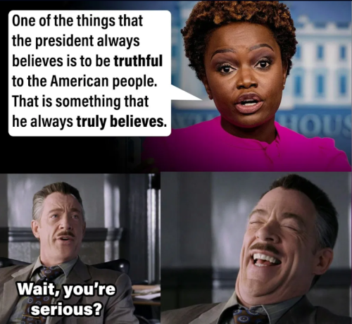 image_2024-12-08_084715258