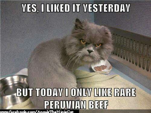 521b3f4bb3e1e6db6be5ae8892dc2aa6