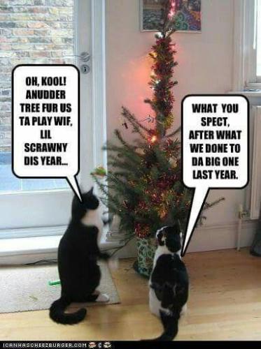 e4eb390af5a82de927e651ee66fb85a2