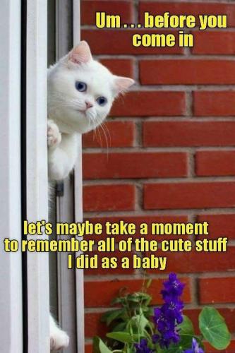 d8c8c90dada8701a270f85a287c1f8ca