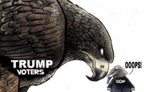 d9ad92afa93fcd5a896ff1bad020b321