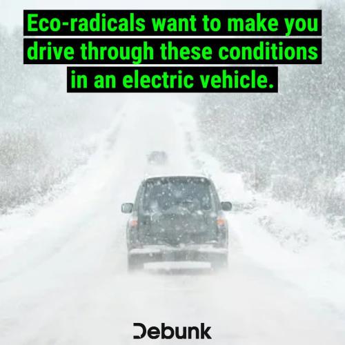 eco-radicals