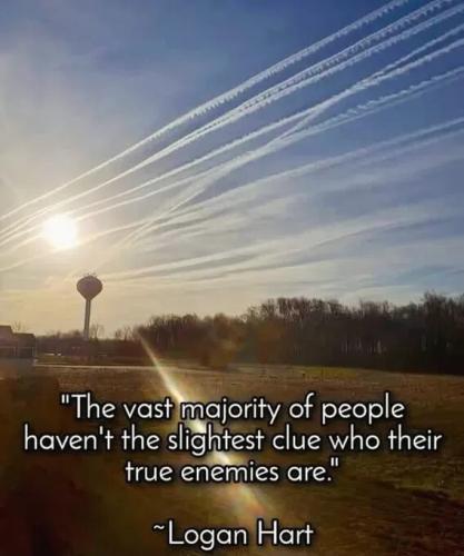 d87cf5d13bc98aac22f48383c9297c5e