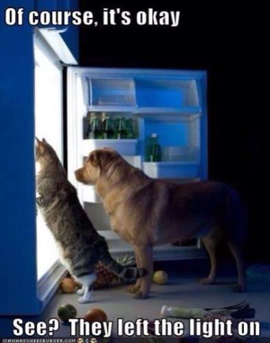 fcddc915f2960cc0a316a5c855cf1c94