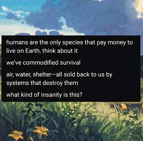 photo_2024-12-09_22-21-49