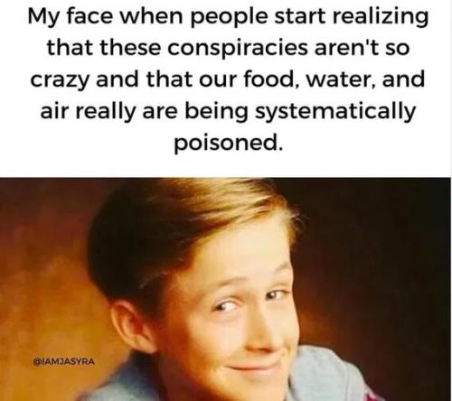 402ef328b55f12e2c2f7177a51b87c12