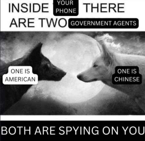 photo_2024-12-20_16-32-58