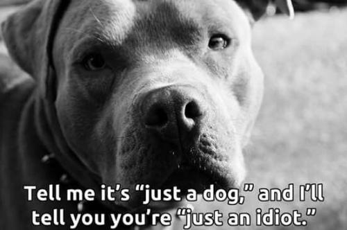 80f5e77289c62c14619222f7175820b7