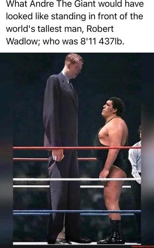 516b204cca046e0ab9650f6db1a798f9fdc858de08b722ce9a3267c0bc9560f4_1