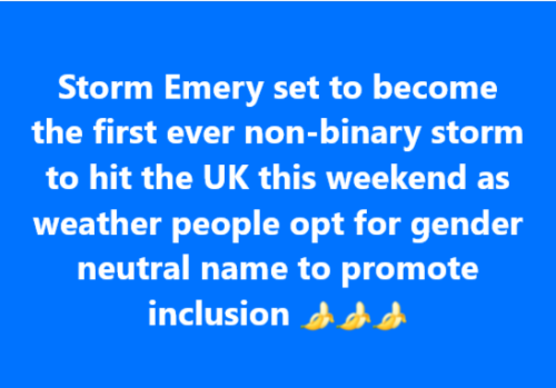 inclusive storm emery