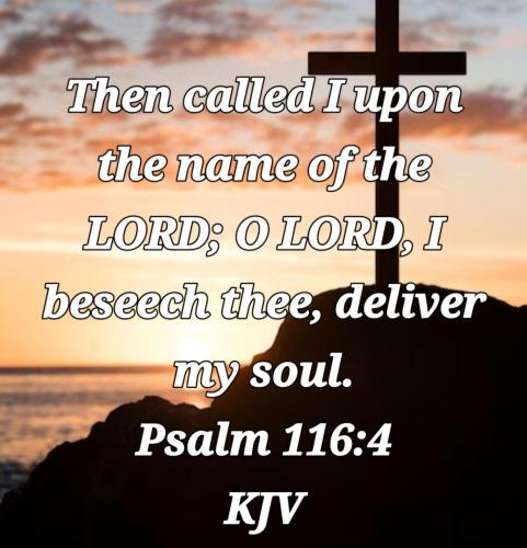 7f4f03d2-dad4-485c-911b-18e64187af29