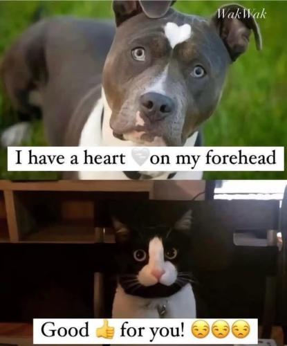 image_0CFF123E-EFAC-4834-8F45-A7194EB735AD