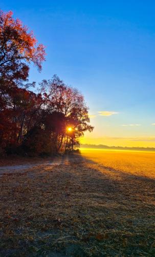 Screenshot_20241228_082221_Gallery