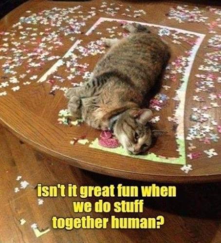 ac87b33de6f778b7ef8f767a3d604bdc