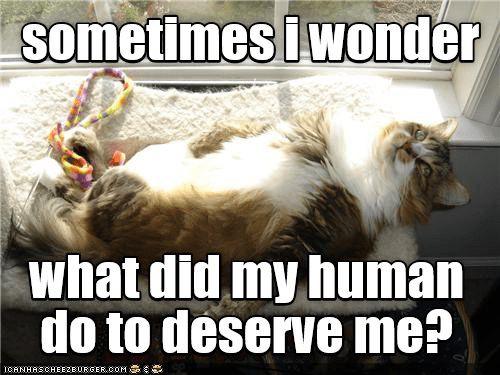 0914ac95137762c885654c7ccbb11262